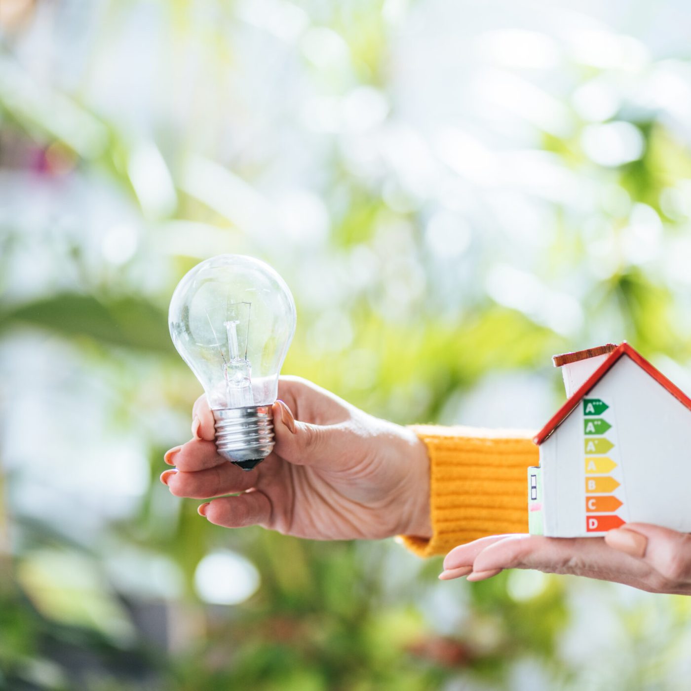 selective focus of led lamp and carton house model in woman hands, energy efficiency at home concept